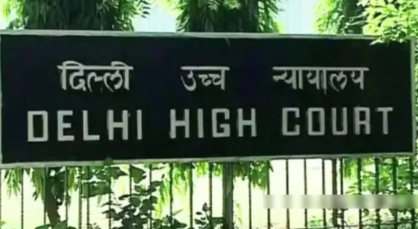 देवी-देवताओं पर टिप्पणी मामला: भारत में ब्लॉक किए गए ध्रुव राठी के वीडियो, गूगल ने दिल्ली HC को बताया